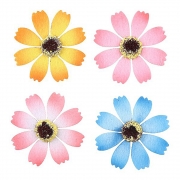 [펠트]2500 코스모스꽃 신형 투톤  (ua)