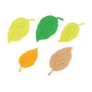 [펠트]2500 감나무잎 (ua)