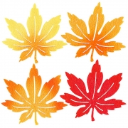 [펠트]2500 단풍잎 신형 투톤 (ua)