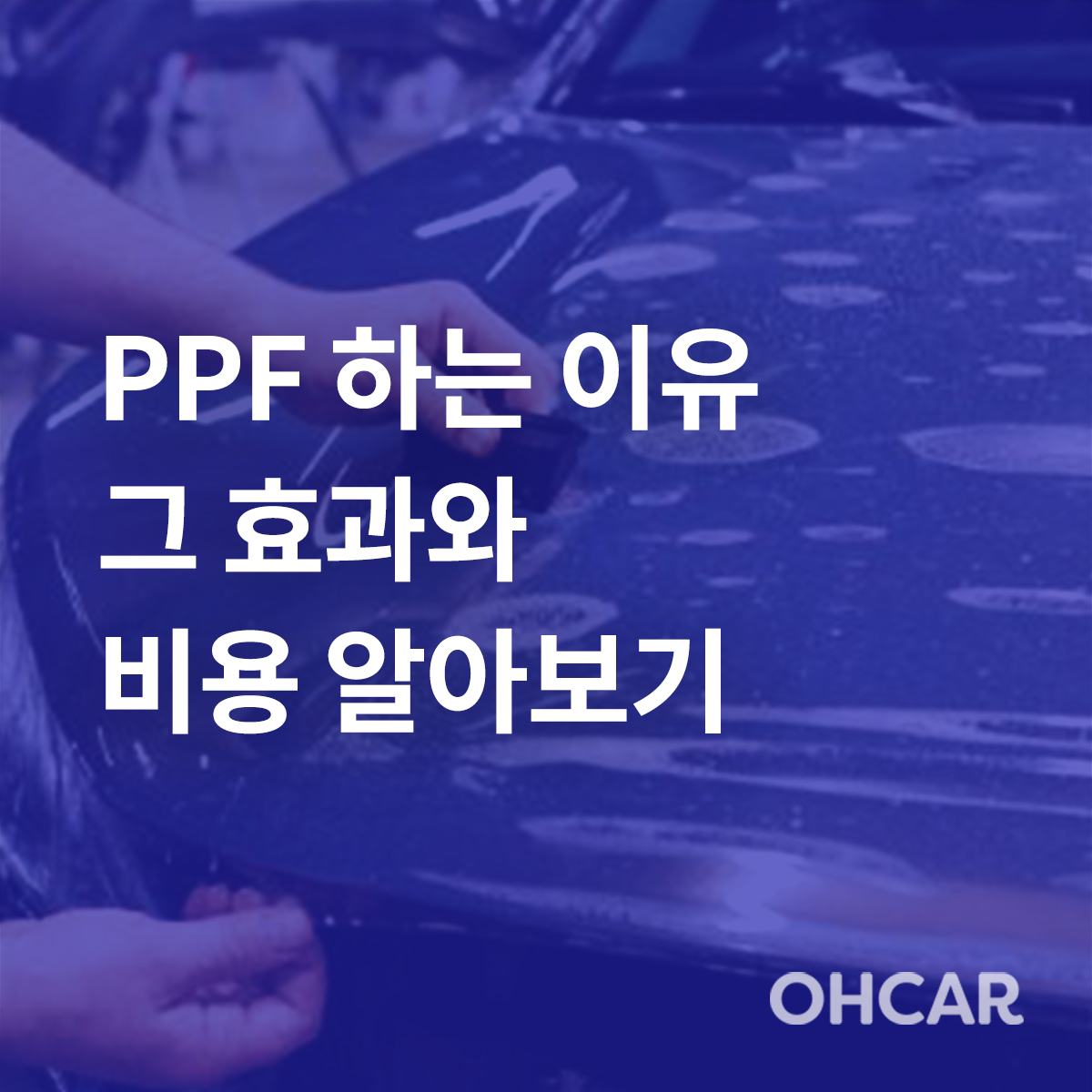 자동차 PPF의 필요성과 효과, PPF비용은 어떻게 책정되는지 알아볼까요|