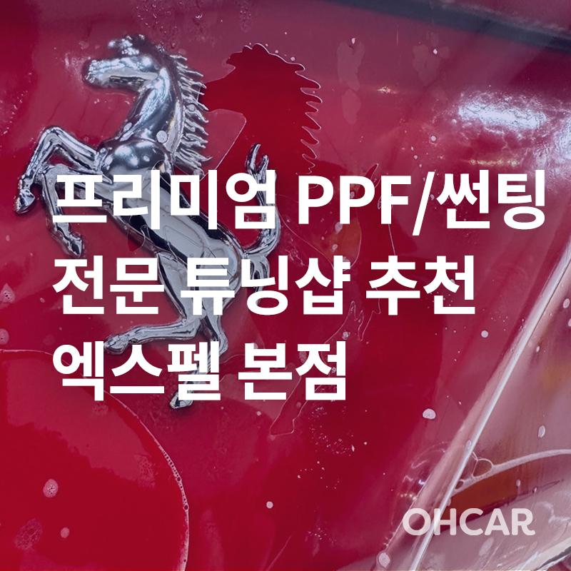 강남/서초 프리미엄 PPF, 썬팅 전문✨ (엑스펠 파이널핏, 셀프힐링 PPF, 프라임 윈도우 필름)|