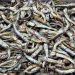 국내산 국물멸치 (다시멸치)150g