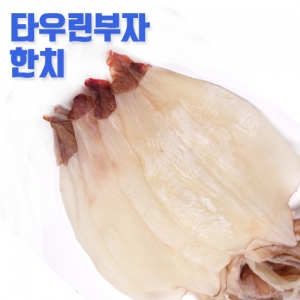 베트남산 한치 10미