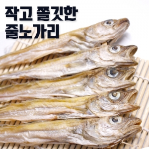 줄노가리 60미