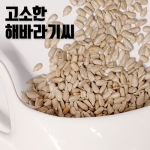 해바라기씨 1kg