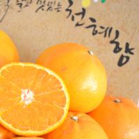 한마음 제주 천혜향 3kg(16-22과)