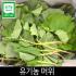 유기농 머위 1kg
