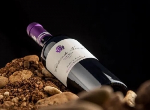 FAMILLE VIGOUROUX <BR> 파미 비구루