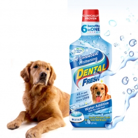 시너지랩 Dog 덴탈후레쉬 화이트닝 503ml 물에 섞는 치약