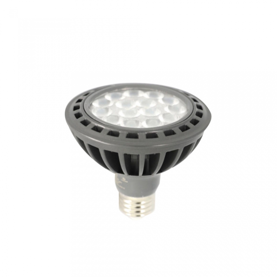 PAR30 LED 15W 전구