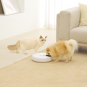 펫드리머 올인원 급식기 강아지 고양이 간식기