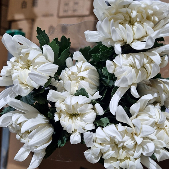 ★신상품★  중국/ 마카도(상)/ 15단 (1단 6,000원) 2/12(목) 발송예정