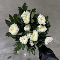 중국/백선 상급/15단 - 5200원 10/16 출고