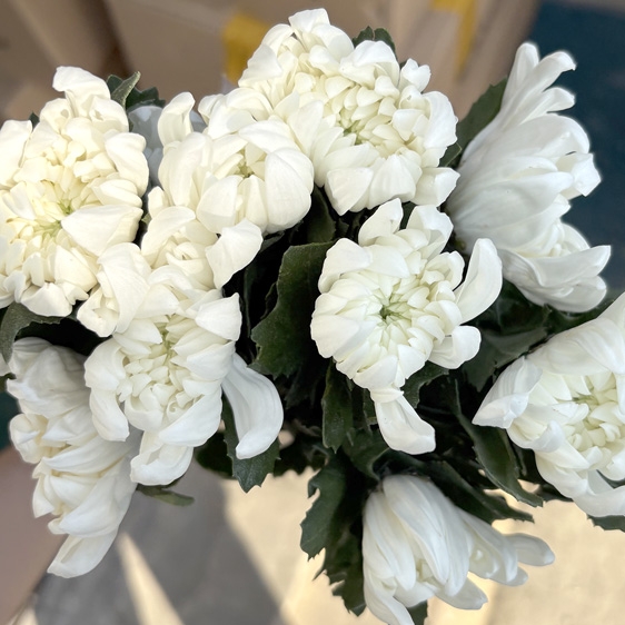 베트남 / 마카도(상) / 15단 5,500원 10/16 출고 예정!