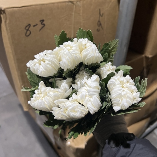 중국/백선 상급/13단 - 3000원 세일 상시출고 (11박스 한정)