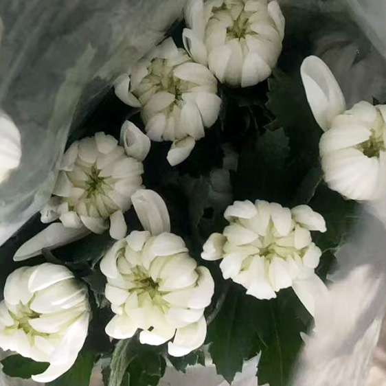 ☆한정판매☆﻿베트남 / 마카도(상) /18단 4,800원12/18출고예정!