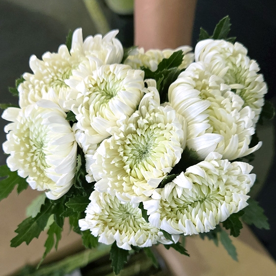 중국 / 신마(상) / 15단 4,900원