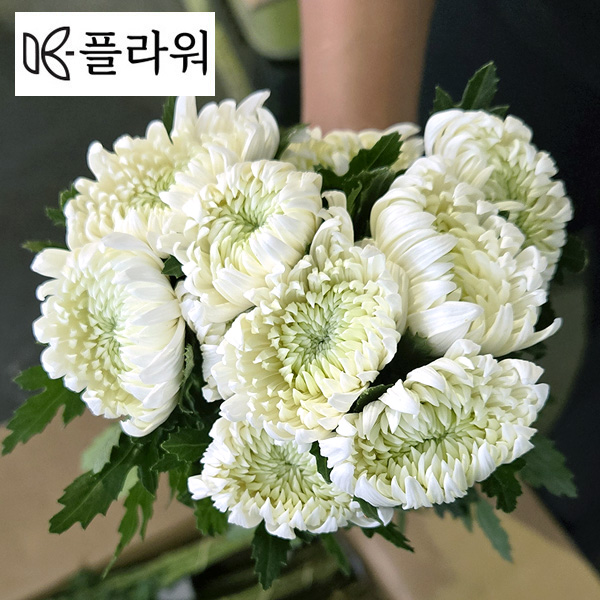중국 / 신마(상) / 15단 4,900원