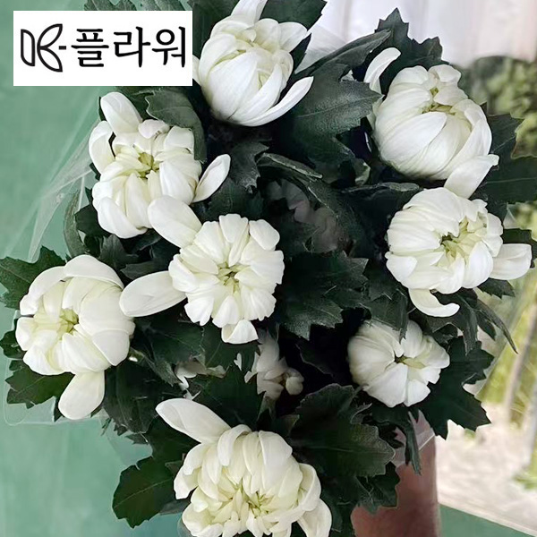 ★신상품★﻿베트남 / 마카도(상) /15단 5,800원12/18출고예정!