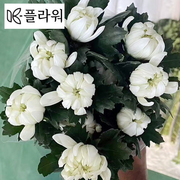 ★신상품★﻿베트남 / 마카도(상) /15단 5,800원12/18출고예정!