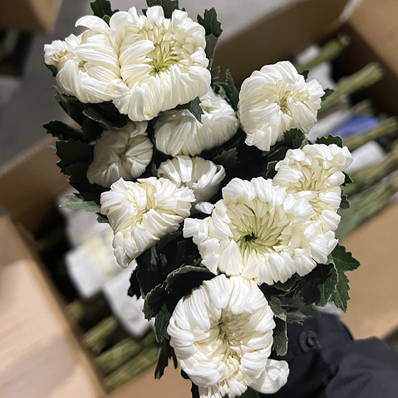 ★초특가★﻿중국 / 마카도(상) / 15단 5,800원