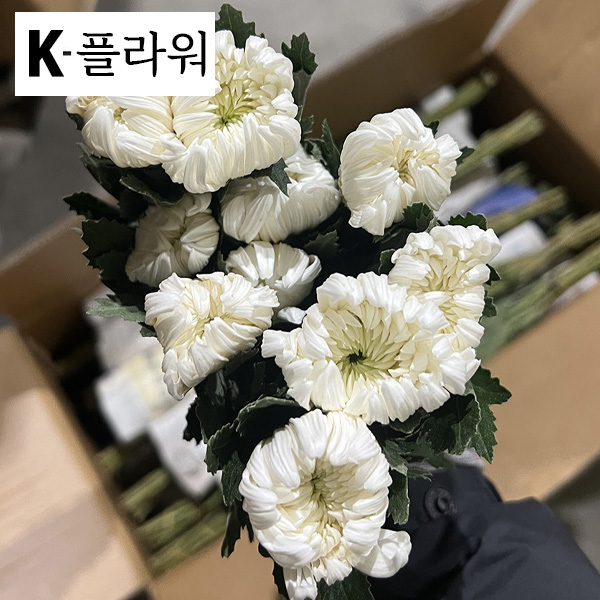 ★초특가★﻿중국 / 마카도(상) / 15단 5,800원