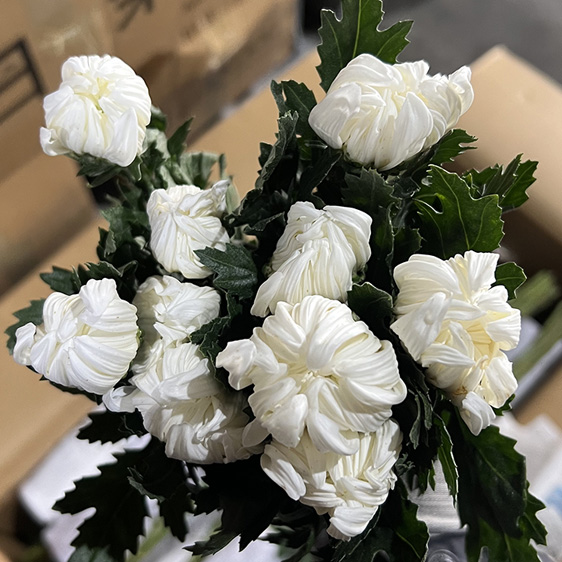 ★초특가★﻿중국 / 마카도(상) / 18단 4,900원