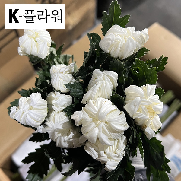 ★초특가★﻿중국 / 마카도(상) / 18단 4,900원