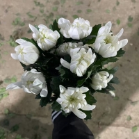 중국/마카도 중급 18단 - 5100원 1/15 출고