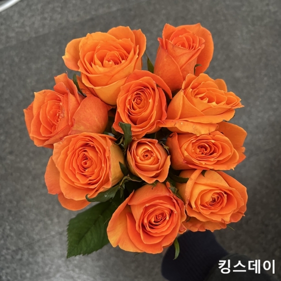 중국/장미 70cm 단종컬러/10단 - 13000원 2/23-24 발송