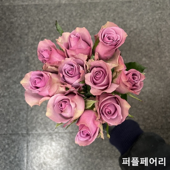 중국/장미 70cm 단종컬러/10단 - 13000원 2/23-24 발송