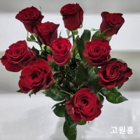 중국/장미 70cm 단종컬러/10단 - 13000원 2/23-24 발송