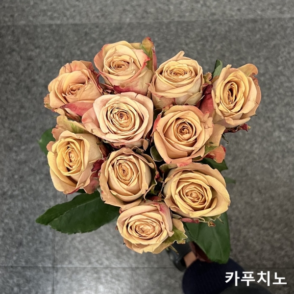 중국/장미 70cm 단종컬러/10단 - 13000원 2/23-24 발송