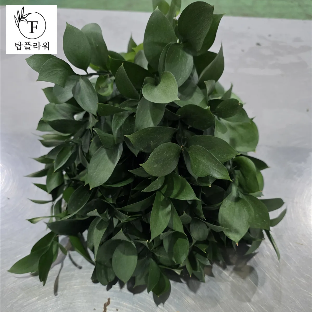 ★인기상품★  베트남/ 유스카스/ 15단 (소,중,대) 2/12(목) 발송예정