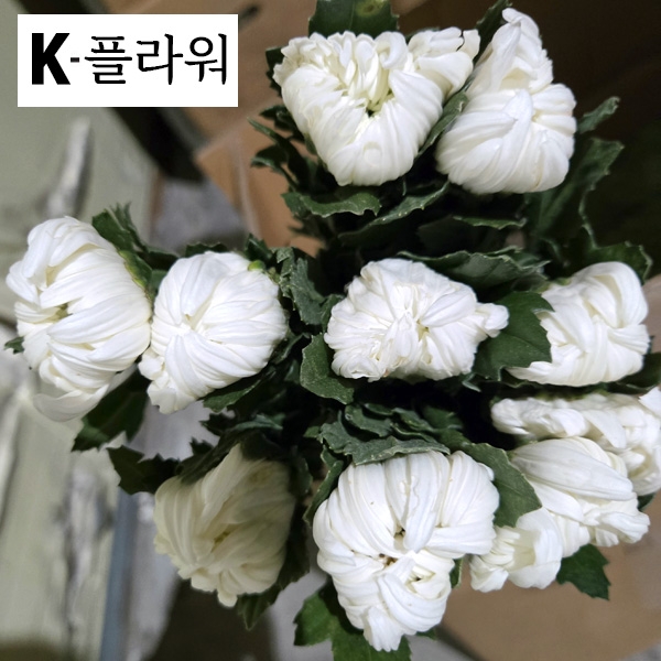 ★신상품★﻿베트남/화환용/15단 4,900원1/26출고예정!