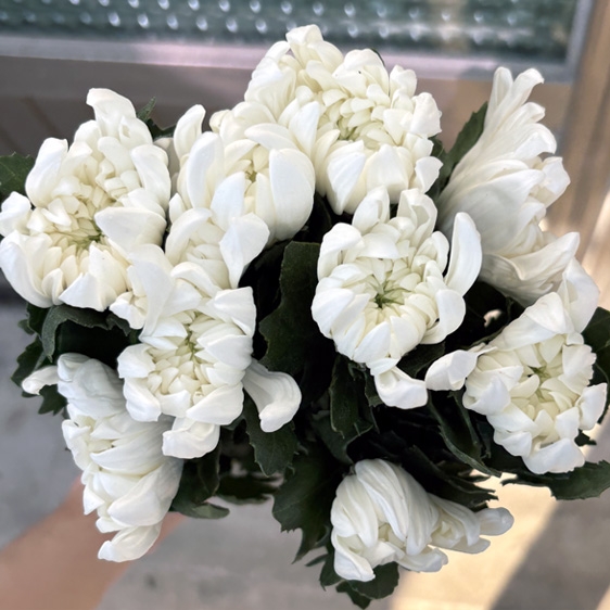 ★신상품★﻿베트남/제단용/15단 5,800원1/26출고예정!