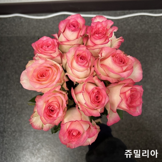 ★사전 예약 상품★﻿중국/장미 60cm 믹스A/10단 - 11,300원 5/13 발송 
