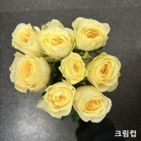 ★사전 예약 상품★﻿중국/장미 60cm 믹스A/10단 - 11,300원 5/13 발송 