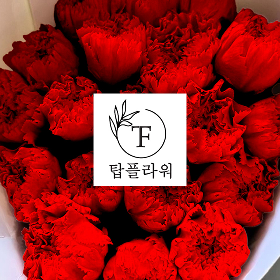  ★특가할인★ 중국 카네이션 / 레드 (1단 6,700원) 5/20(수) 발송예정