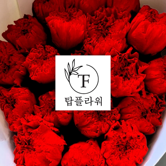  ★특가할인★ 중국 카네이션 / 레드 (1단 6,700원) 5/20(수) 발송예정
