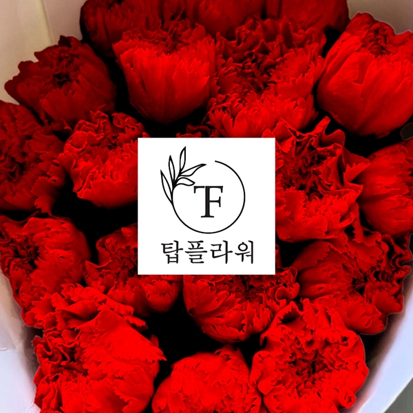  ★특가할인★ 중국 카네이션 / 레드 (1단 6,700원) 5/20(수) 발송예정