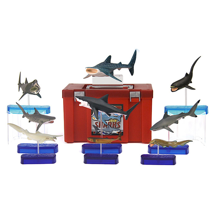 콜로라타 Colorata 상어 피규어박스 리얼 모형 9종 세트