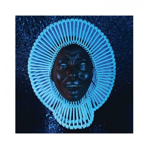 LP 차일디쉬 감비노 Childish Gambino - Awaken My Love 엘피판