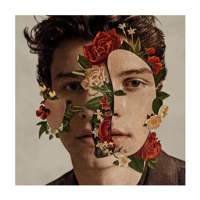 LP 숀 멘데스 - Shawn Mendes 엘피판