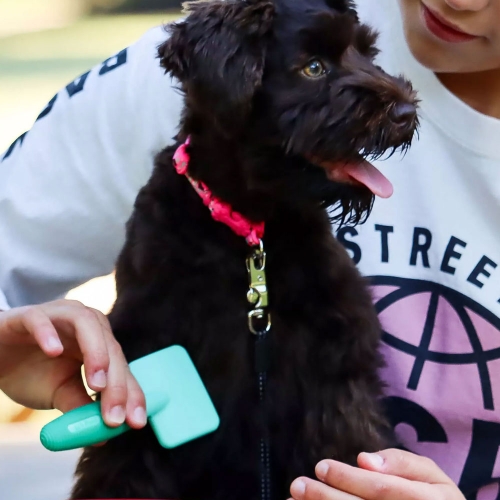 코스탈펫 릴팰스 강아지 고양이 매직 미니 슬리커