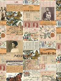 팔레트 오렌지 PWTH230.ORANGE