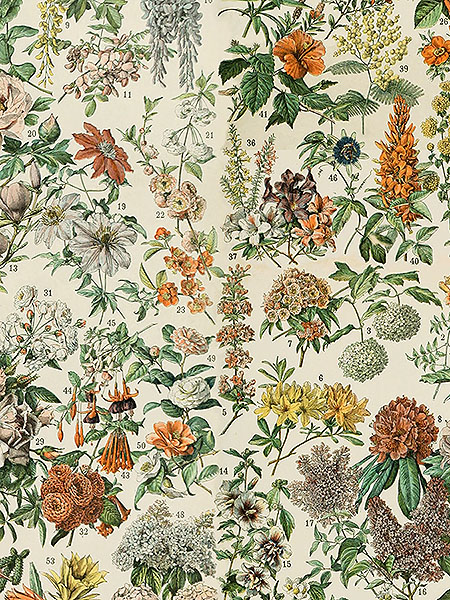 팔레트 오렌지 PWTH237.ORANGE