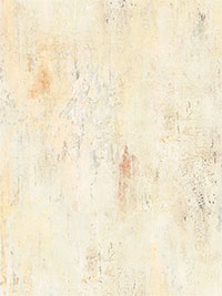 빈티지 텍스쳐 - 버프 89233-112