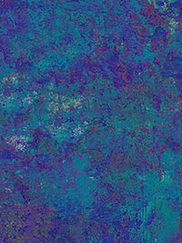 페인터스 조이 by 수 집킨 Y4404-95