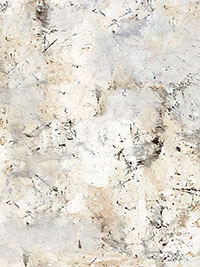 페인터스 조이 by 수 집킨 Y4405-61